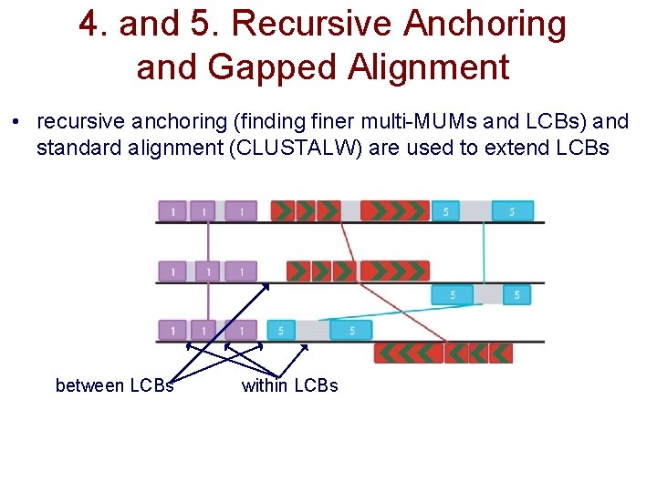 4. and 5. Recursive Anchoring and Gapped Alignment • recursive anchoring (finding finer multi-MUMs