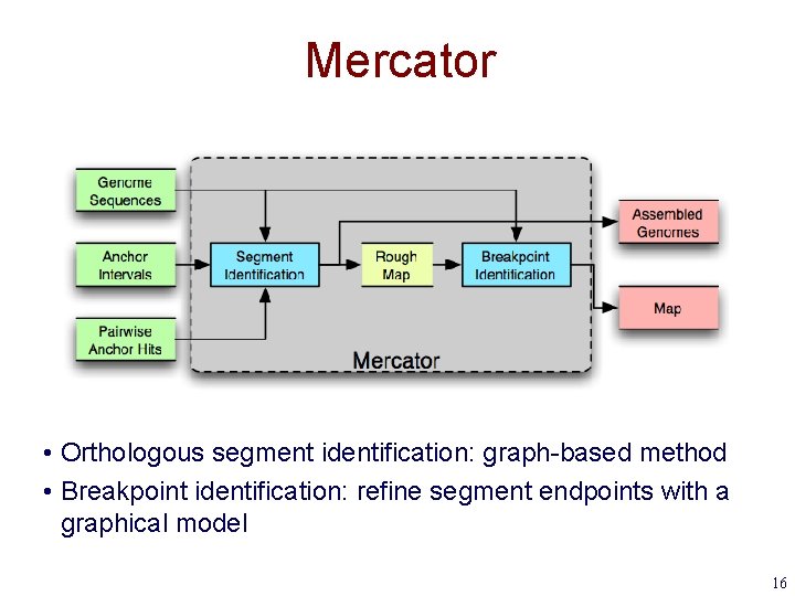 Mercator • Orthologous segment identification: graph-based method • Breakpoint identification: refine segment endpoints with