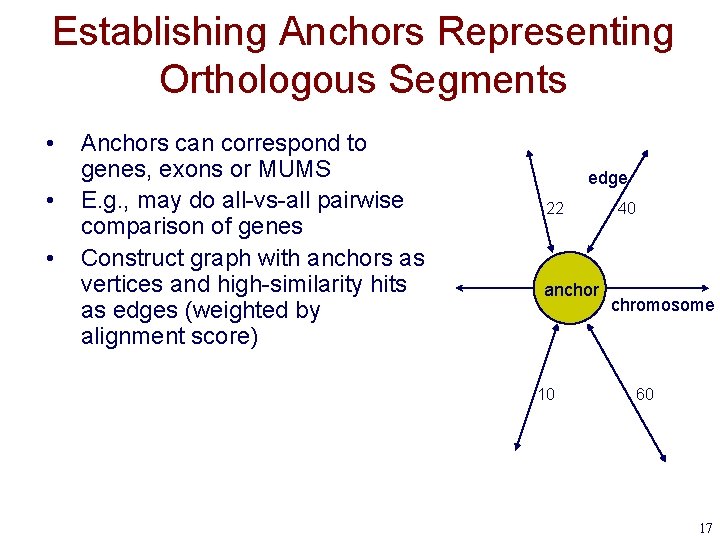 Establishing Anchors Representing Orthologous Segments • • • Anchors can correspond to genes, exons
