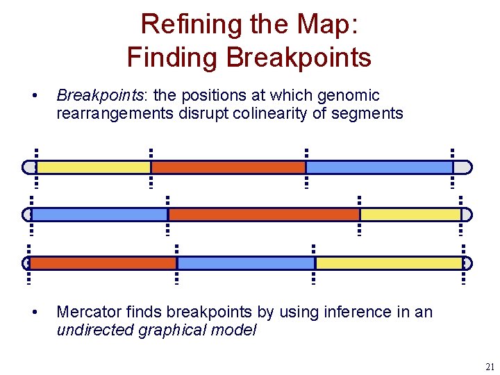Refining the Map: Finding Breakpoints • Breakpoints: the positions at which genomic rearrangements disrupt