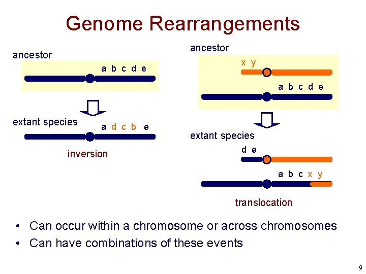 Genome Rearrangements ancestor a b c d e x y a b c d
