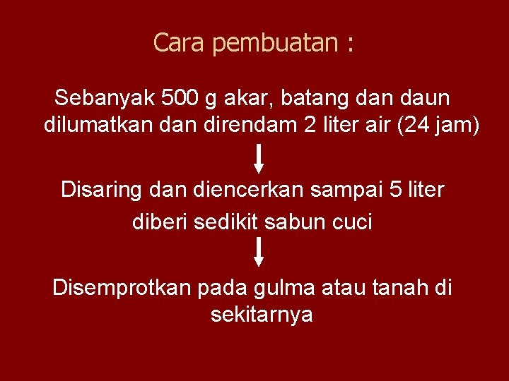 Cara pembuatan : Sebanyak 500 g akar, batang dan daun dilumatkan direndam 2 liter