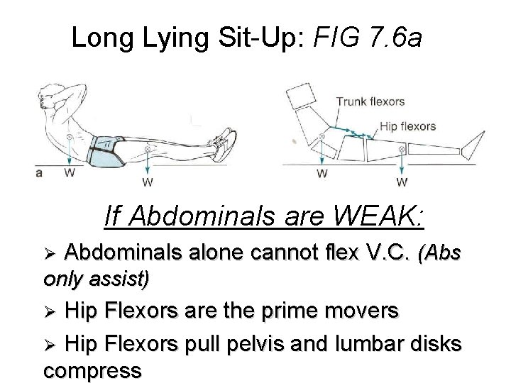 Long Lying Sit-Up: FIG 7. 6 a If Abdominals are WEAK: Ø Abdominals alone