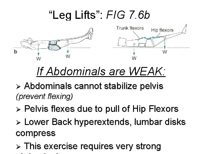 “Leg Lifts”: FIG 7. 6 b If Abdominals are WEAK: Ø Abdominals cannot stabilize