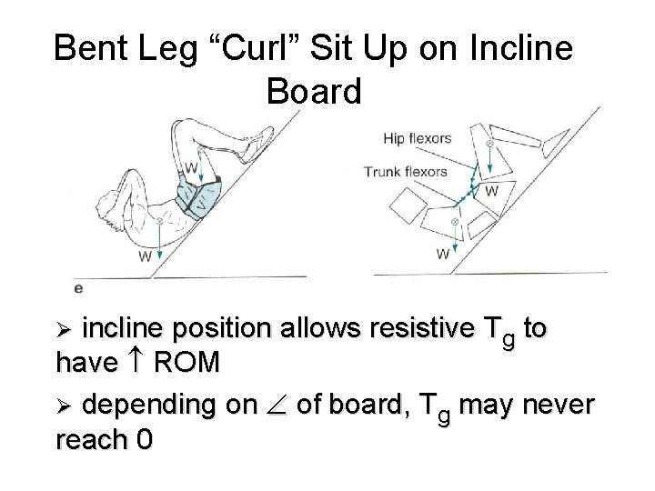 Bent Leg “Curl” Sit Up on Incline Board FIG 7. 6 e page 237