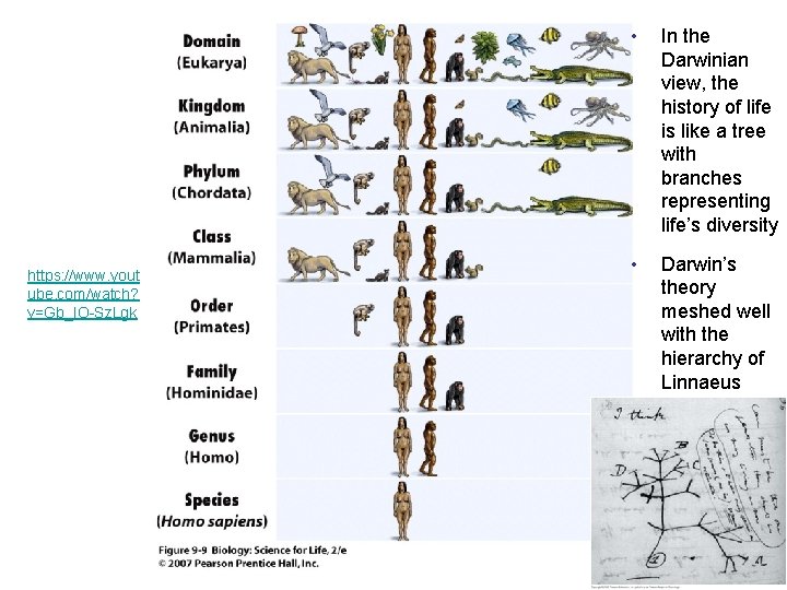 https: //www. yout ube. com/watch? v=Gb_IO-Sz. Lgk • In the Darwinian view, the history