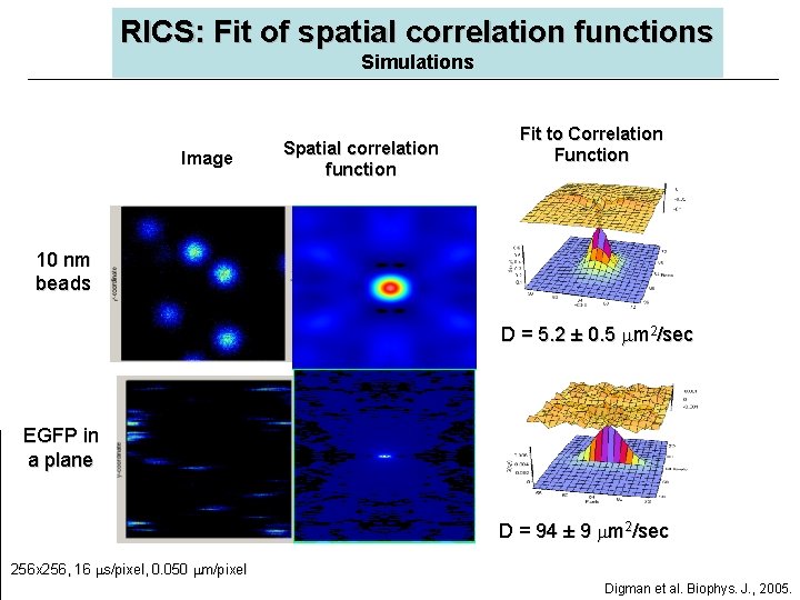 RICS: Fit of spatial correlation functions Simulations Image Spatial correlation function Fit to Correlation