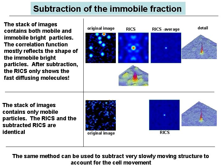 Subtraction of the immobile fraction The stack of images contains both mobile and immobile