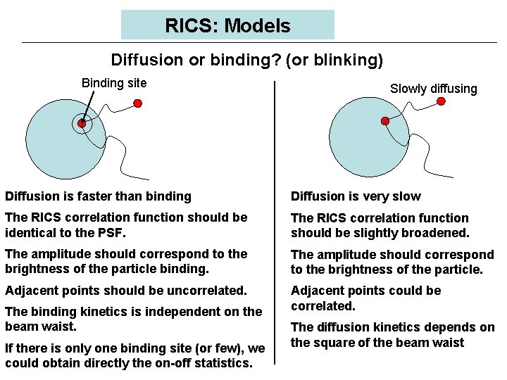 RICS: Models Diffusion or binding? (or blinking) Binding site Slowly diffusing Diffusion is faster