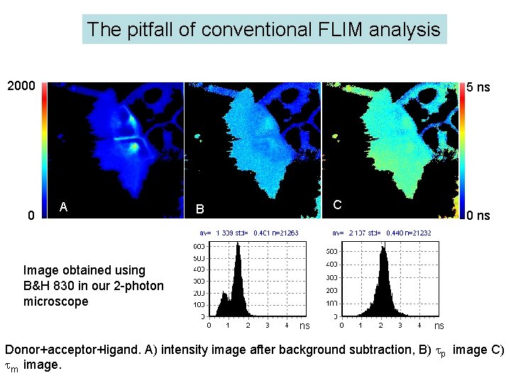 The pitfall of conventional FLIM analysis 2000 0 5 ns A C B 0