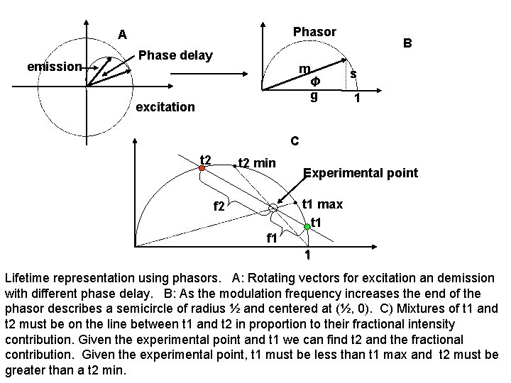 Phasor A emission Phase delay m Φ g excitation B s 1 C t