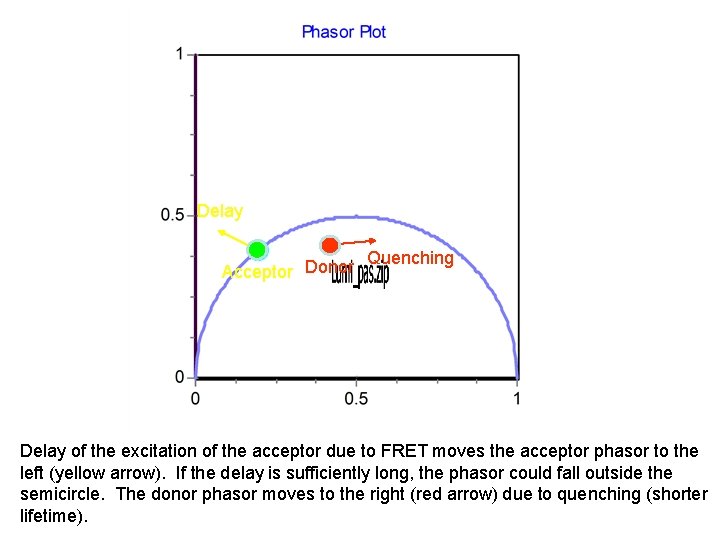 Delay Acceptor Donor Quenching Delay of the excitation of the acceptor due to FRET