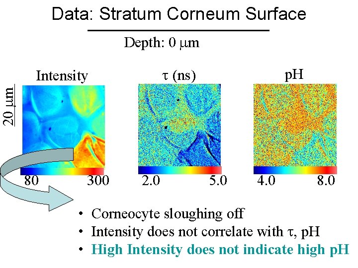Data: Stratum Corneum Surface Depth: 0 m (ns) p. H 20 m Intensity 80