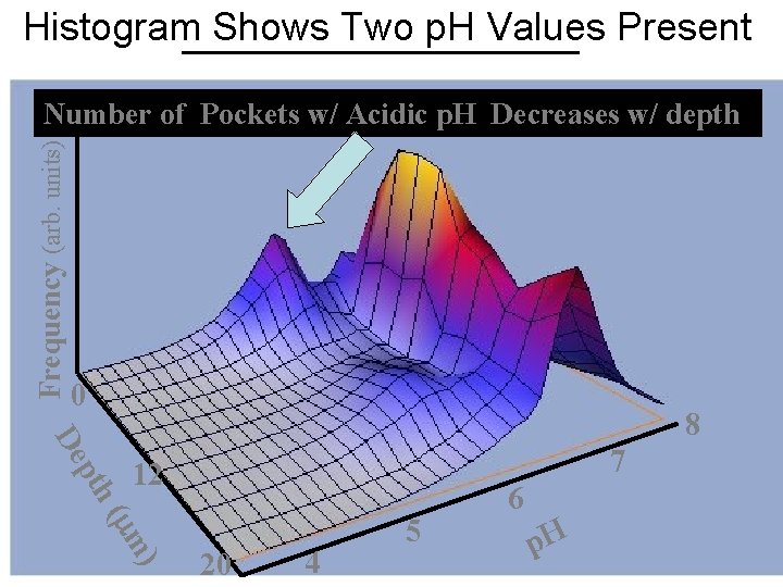 Histogram Shows Two p. H Values Present Frequency (arb. units) Number of Pockets w/