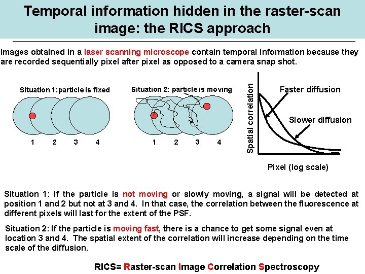 Temporal information hidden in the raster-scan image: the RICS approach Situation 1: particle is