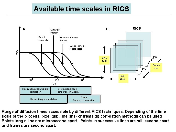 Available time scales in RICS A Small Molecule RICS B Cytosolic Protein Transmembrane Protein