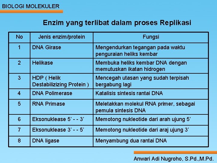 BIOLOGI MOLEKULER Enzim yang terlibat dalam proses Replikasi No Jenis enzim/protein Fungsi 1 DNA