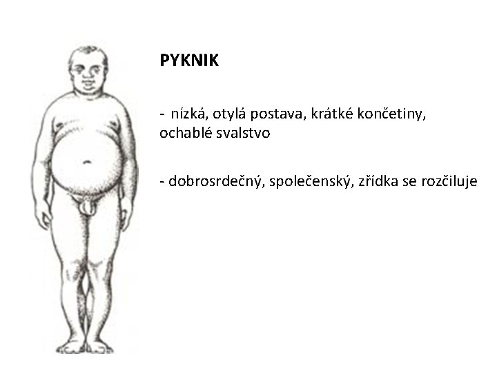 PYKNIK - nízká, otylá postava, krátké končetiny, ochablé svalstvo - dobrosrdečný, společenský, zřídka se