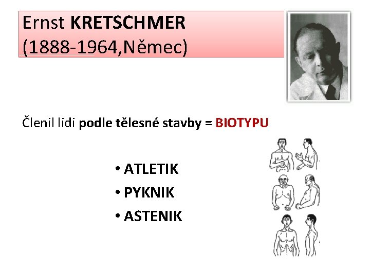 Ernst KRETSCHMER (1888 -1964, Němec) Členil lidi podle tělesné stavby = BIOTYPU • ATLETIK