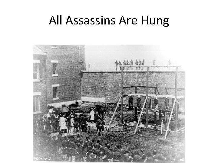 All Assassins Are Hung 
