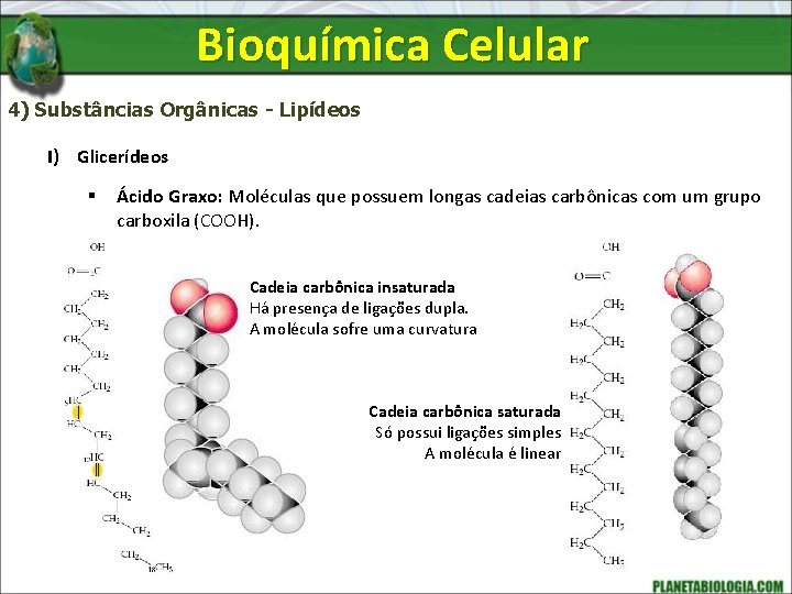 Bioquímica Celular 4) Substâncias Orgânicas - Lipídeos I) Glicerídeos § Ácido Graxo: Moléculas que