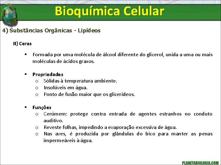 Bioquímica Celular 4) Substâncias Orgânicas - Lipídeos II) Ceras § Formada por uma molécula