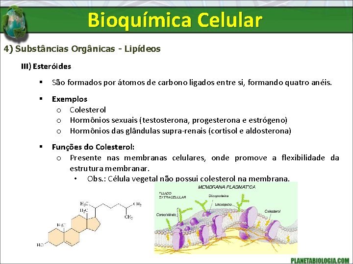 Bioquímica Celular 4) Substâncias Orgânicas - Lipídeos III) Esteróides § São formados por átomos