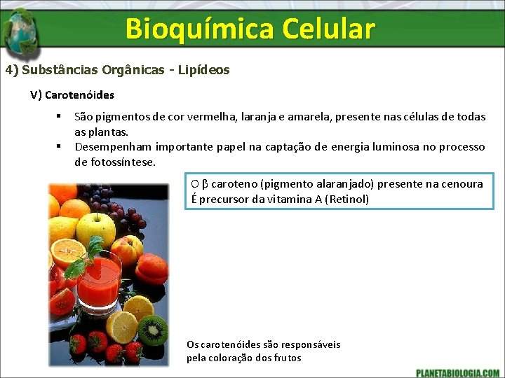 Bioquímica Celular 4) Substâncias Orgânicas - Lipídeos V) Carotenóides § § São pigmentos de