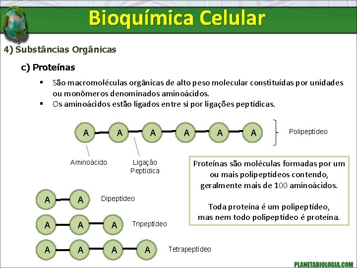 Bioquímica Celular 4) Substâncias Orgânicas c) Proteínas São macromoléculas orgânicas de alto peso molecular