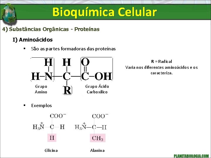 Bioquímica Celular 4) Substâncias Orgânicas - Proteínas I) Aminoácidos § São as partes formadoras