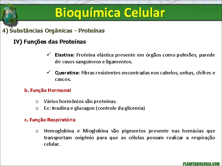 Bioquímica Celular 4) Substâncias Orgânicas - Proteínas IV) Funções das Proteínas ü Elastina: Proteína