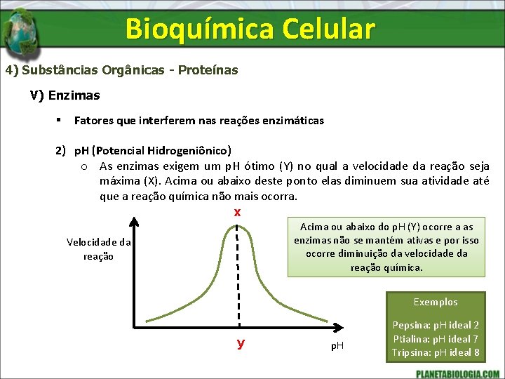 Bioquímica Celular 4) Substâncias Orgânicas - Proteínas V) Enzimas § Fatores que interferem nas