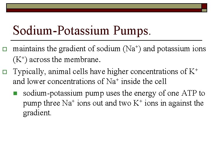 Sodium-Potassium Pumps. o o maintains the gradient of sodium (Na+) and potassium ions (K+)