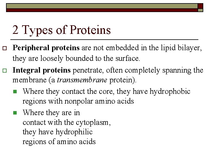 2 Types of Proteins o o Peripheral proteins are not embedded in the lipid