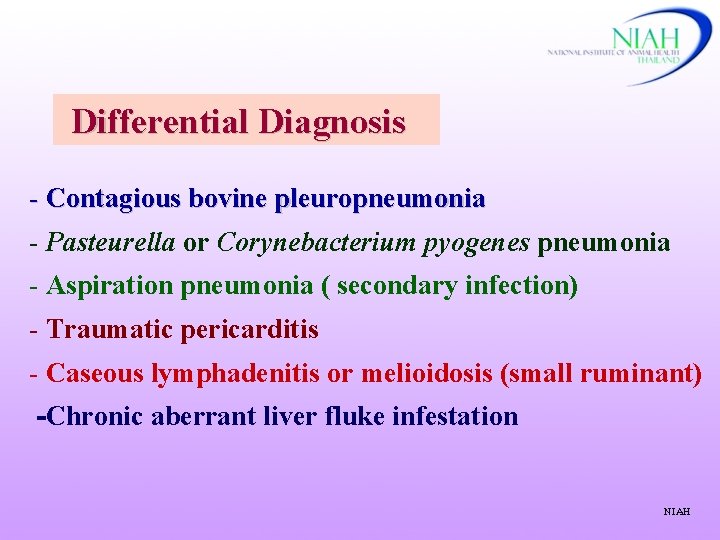 Differential Diagnosis - Contagious bovine pleuropneumonia - Pasteurella or Corynebacterium pyogenes pneumonia - Aspiration