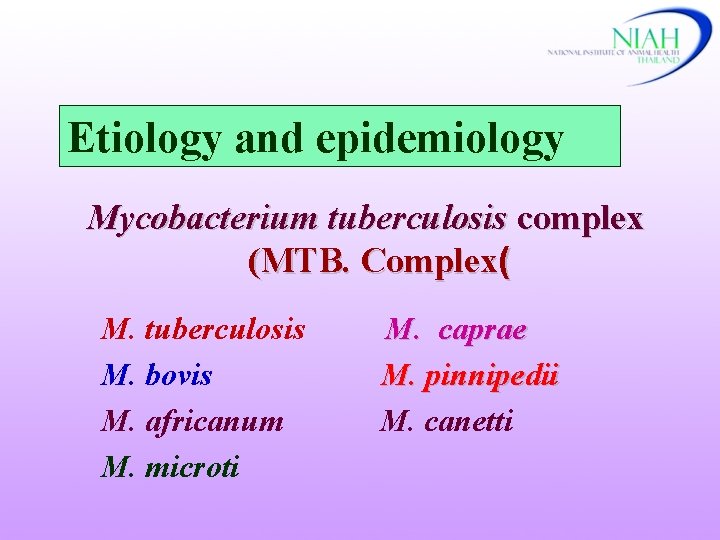 Etiology and epidemiology Mycobacterium tuberculosis complex (MTB. Complex( M. tuberculosis M. bovis M. africanum