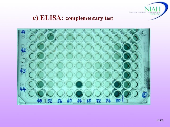 c) ELISA: complementary test NIAH 