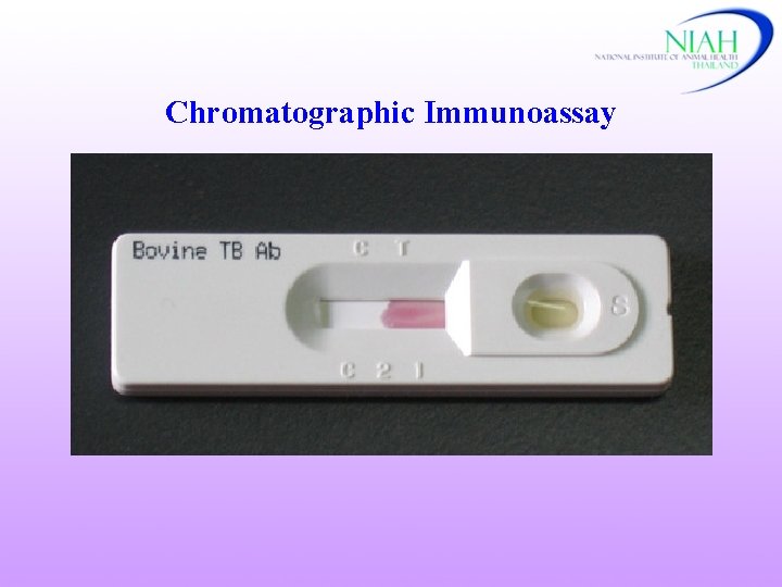 Chromatographic Immunoassay 