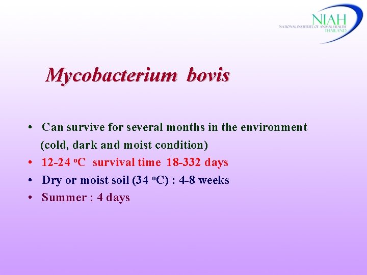 Mycobacterium bovis • Can survive for several months in the environment (cold, dark and
