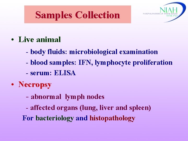 Samples Collection • Live animal - body fluids: microbiological examination - blood samples: IFN,