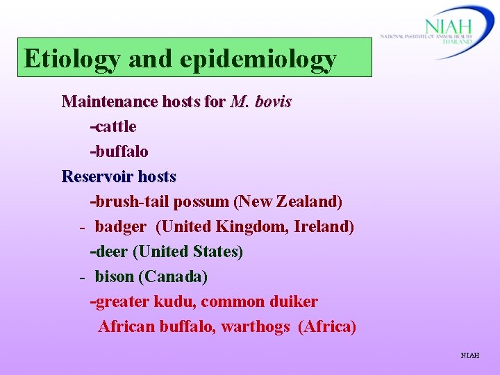 Etiology and epidemiology Maintenance hosts for M. bovis -cattle -buffalo Reservoir hosts -brush-tail possum