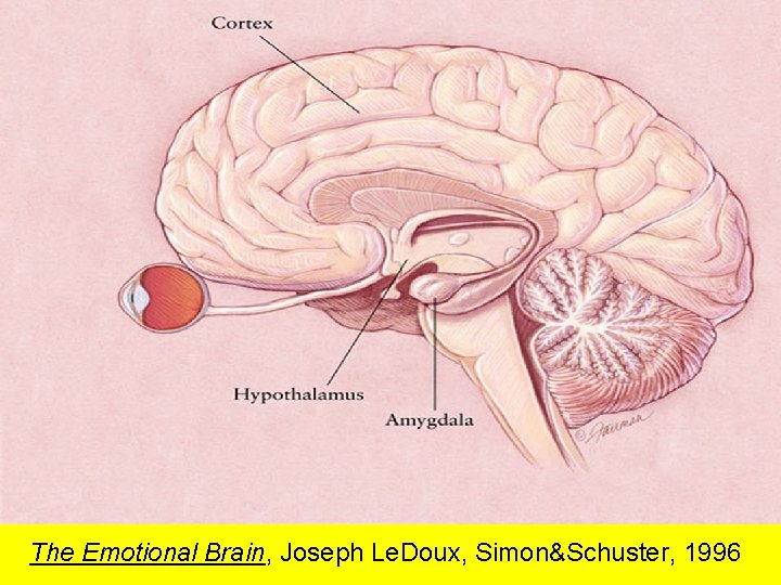 The Emotional Brain, Joseph Le. Doux, Simon&Schuster, 1996 