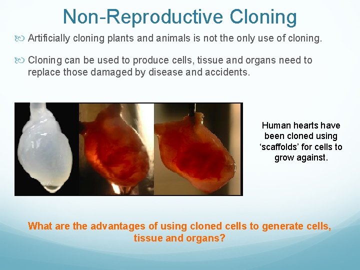 Non-Reproductive Cloning Artificially cloning plants and animals is not the only use of cloning.