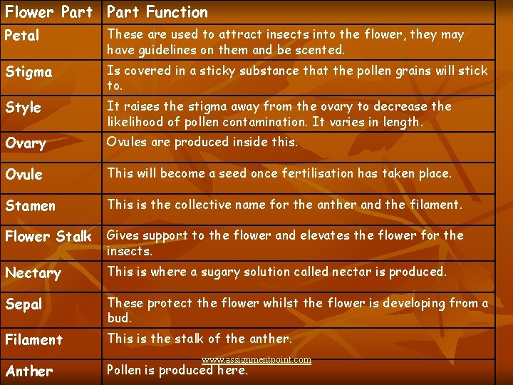 Flower Part Function Petal These are used to attract insects into the flower, they