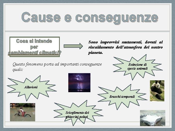 Il cambiamento climatico Cause e conseguenze Cosa si