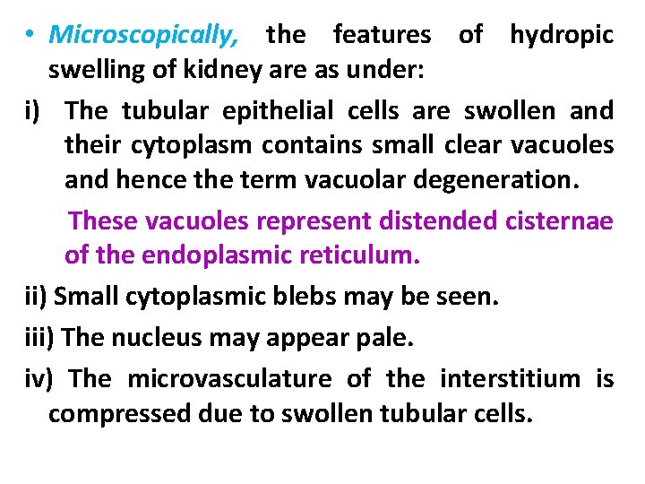  • Microscopically, the features of hydropic swelling of kidney are as under: i)