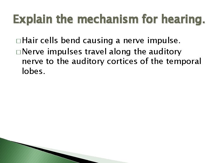 Explain the mechanism for hearing. � Hair cells bend causing a nerve impulse. �