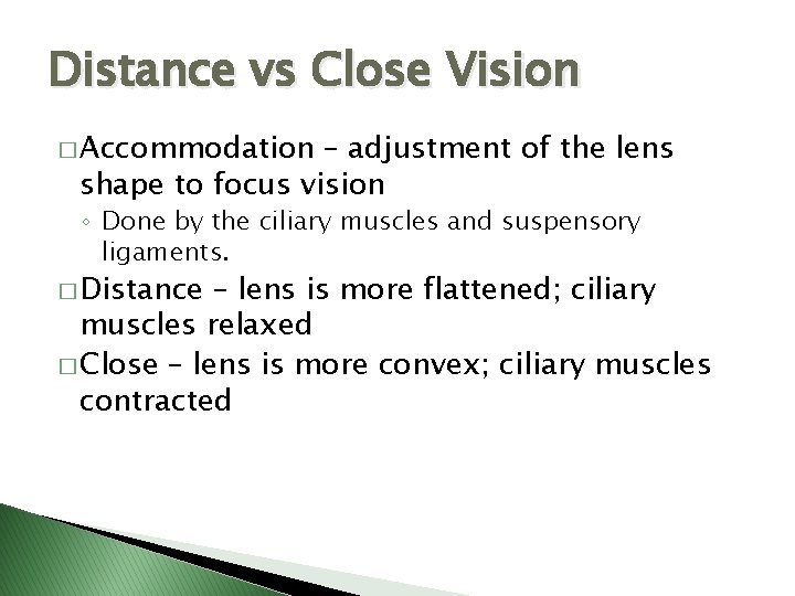 Distance vs Close Vision � Accommodation – adjustment of the lens shape to focus