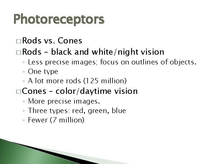 Photoreceptors � Rods vs. Cones � Rods – black and white/night vision ◦ Less
