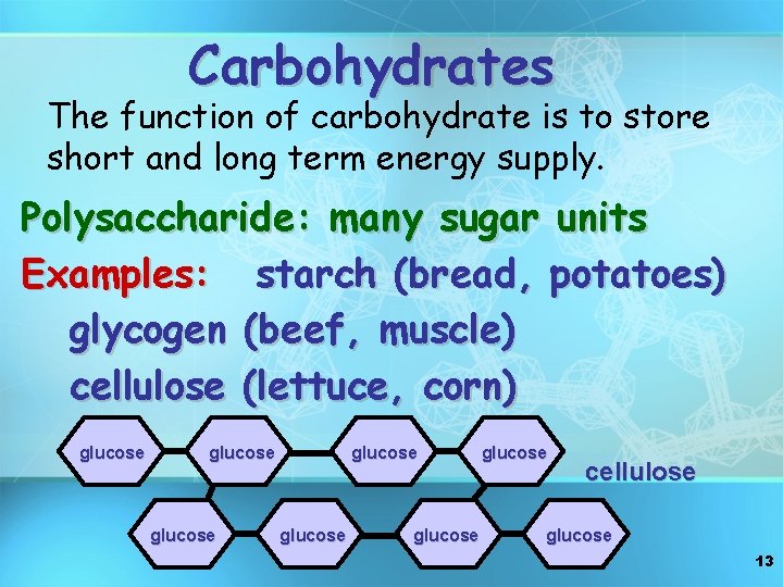 Carbohydrates The function of carbohydrate is to store short and long term energy supply.